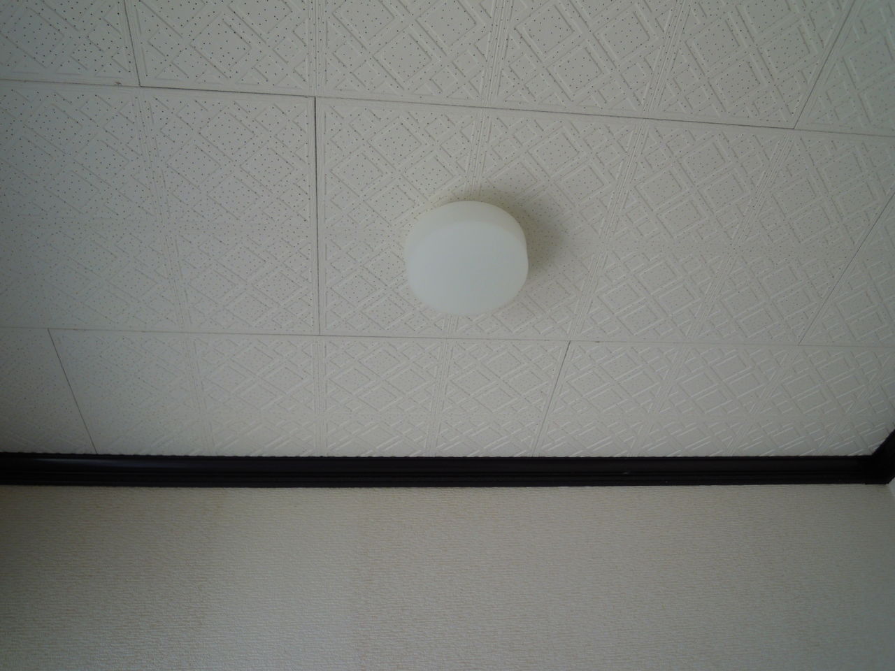 DSCN0510