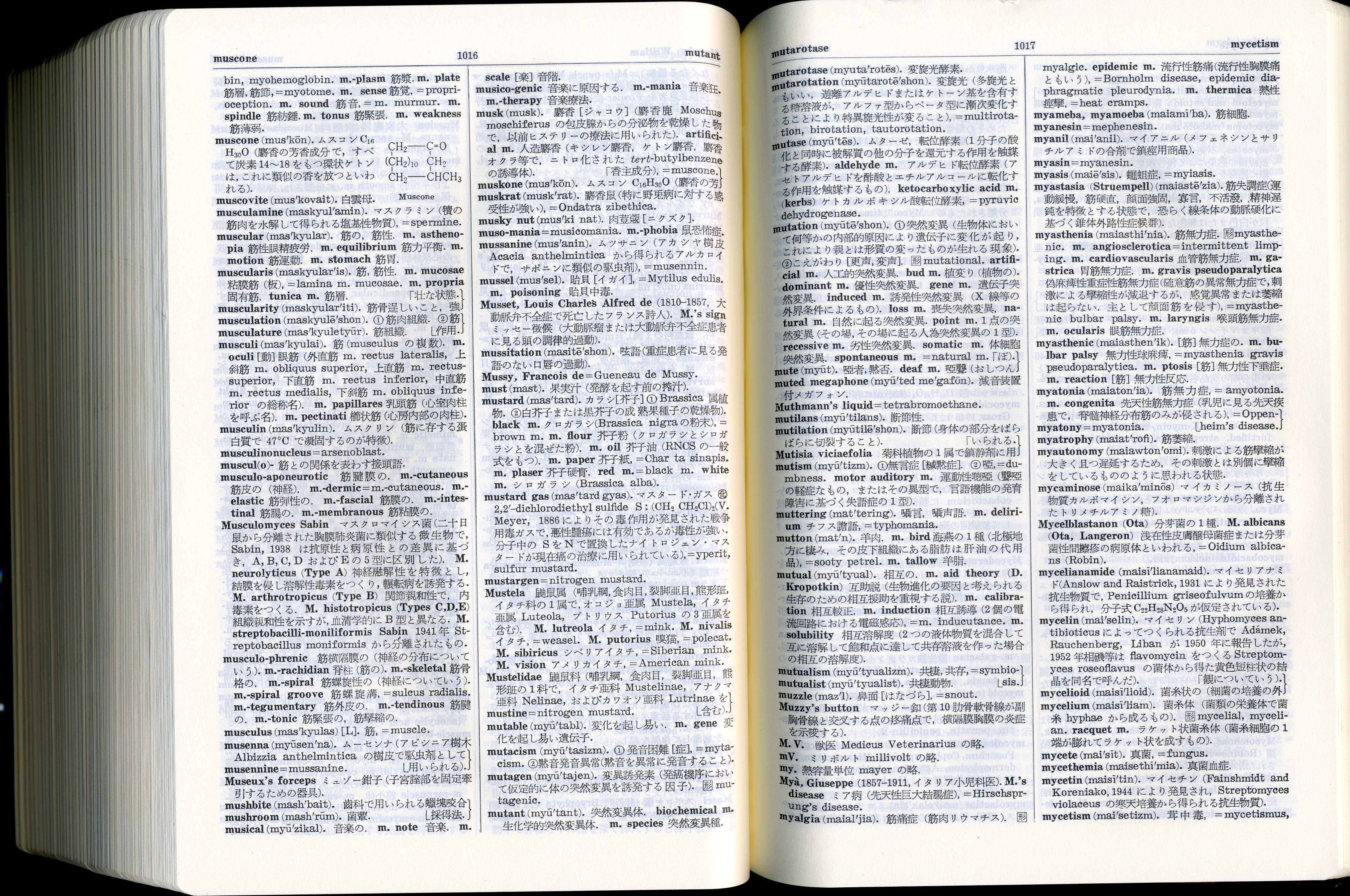 太郎の辞典 縮刷 医学英和大辞典 整骨太郎のひとりごと