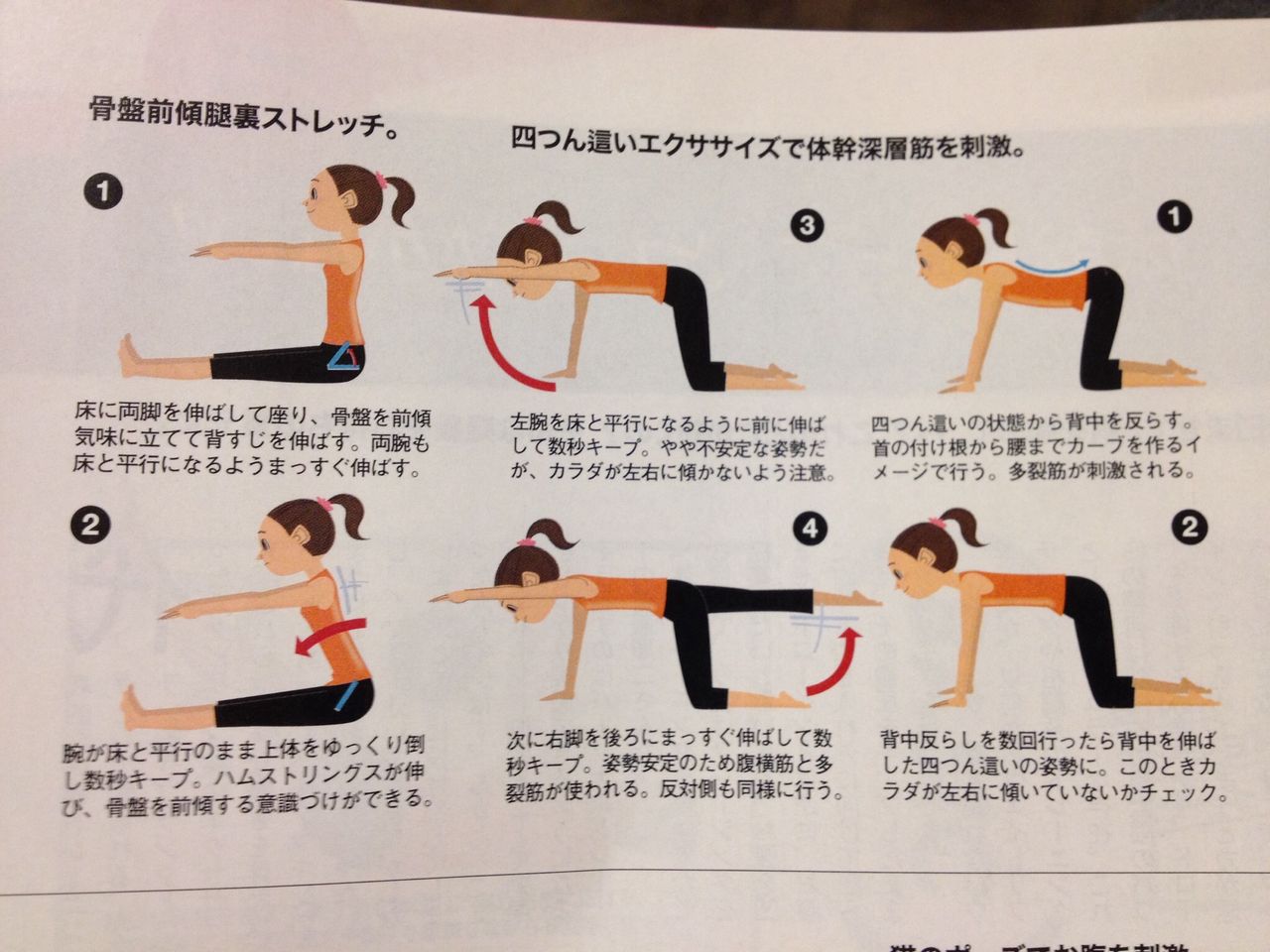 ヘルニア ストレッチ エクササイズ 多気郡多気町 樹 いつき 整骨院のブログ ヘルニア ストレッチ エクササイズ 多気郡多気町 樹 いつき 整骨院のブログ