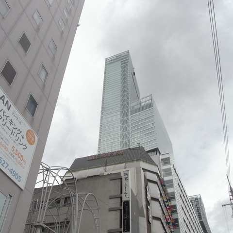 RIMG0838