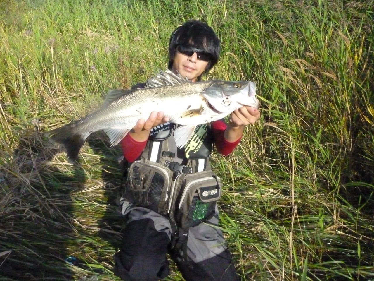 青森で魚釣り その 十三湖デイシーバス 津軽 オモシェ な