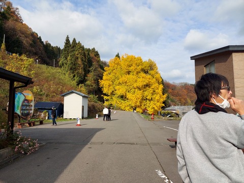 20211121_092942