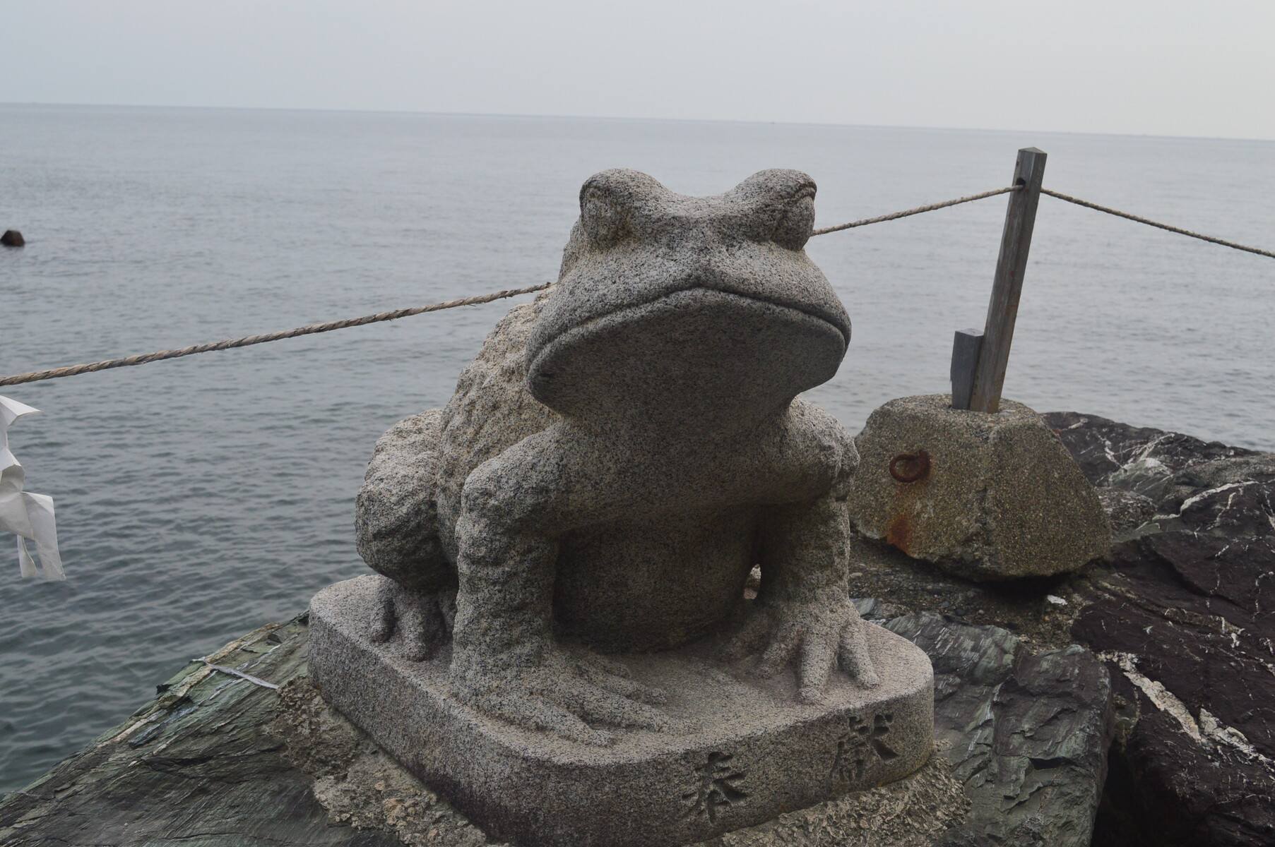 DSC_0178[1]