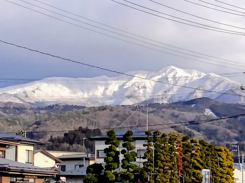 26f205d1-980c-4673-a32f-5152b56fcaa5~1