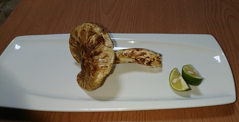松茸 (2