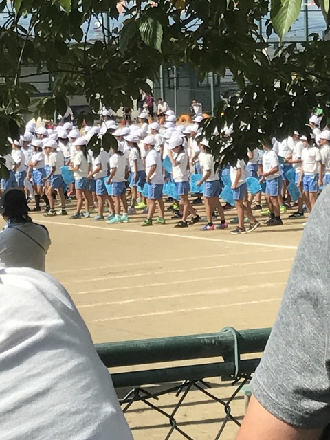 IMG_1519