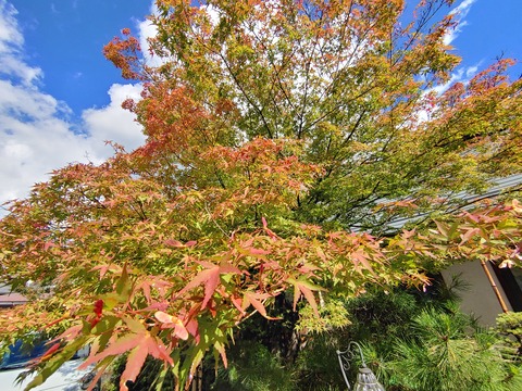 20231011_121927_HDR