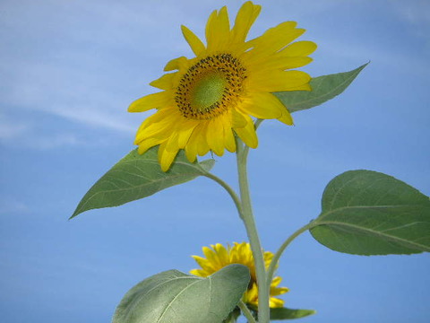 P8260108