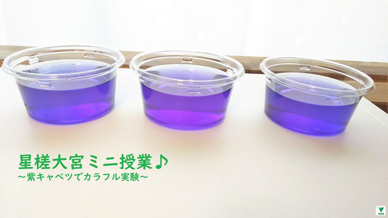 星槎大宮ミニ授業 紫キャベツでカラフル実験 公式 星槎学園大宮校ブログ 星のいかだの物語
