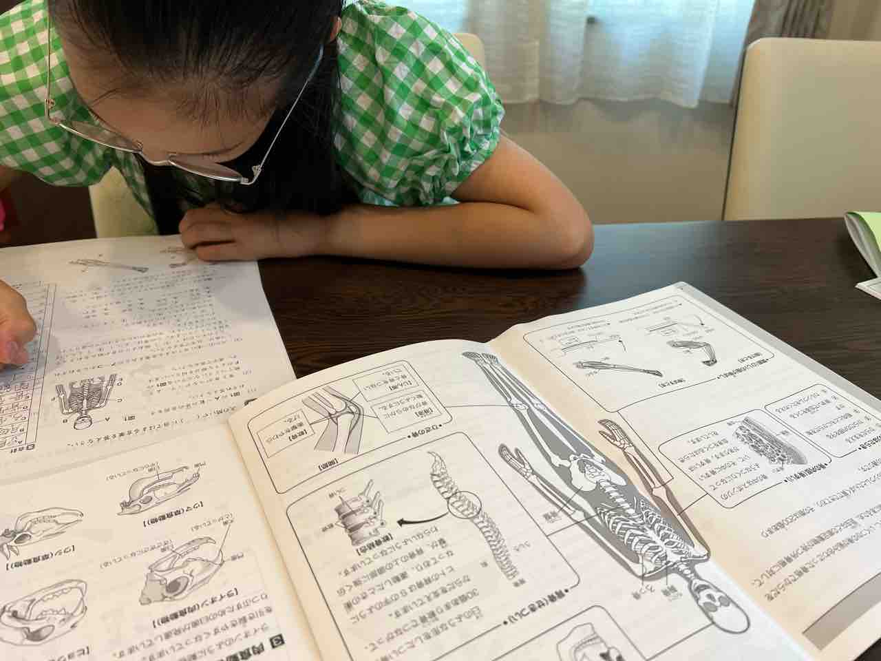 【書き込みなし】サピックス SAPIX 慶應附属中学対策プリント 4点セット 2025年最新】慶應知識問題対策の人気アイテム - メルカリ