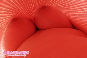 原宿の爆乳カフェ店員が胸元もお股もゆるくて簡単にでセクロスできたｗ 6