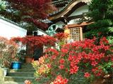 聖尊寺の玄関 2009.4.30
