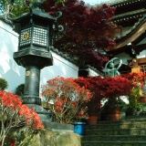 聖尊寺 玄関