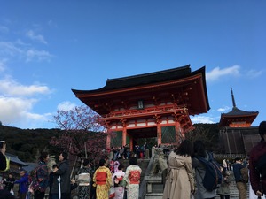 IMG_1524