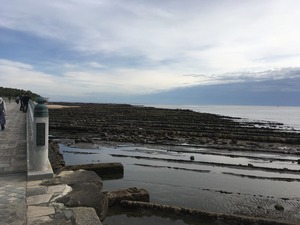 IMG_0060