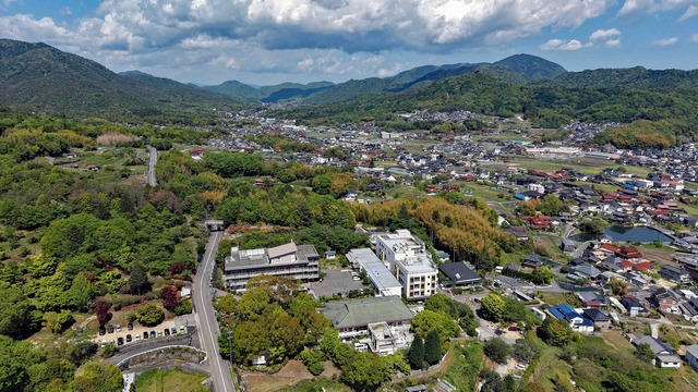 エントリ画像