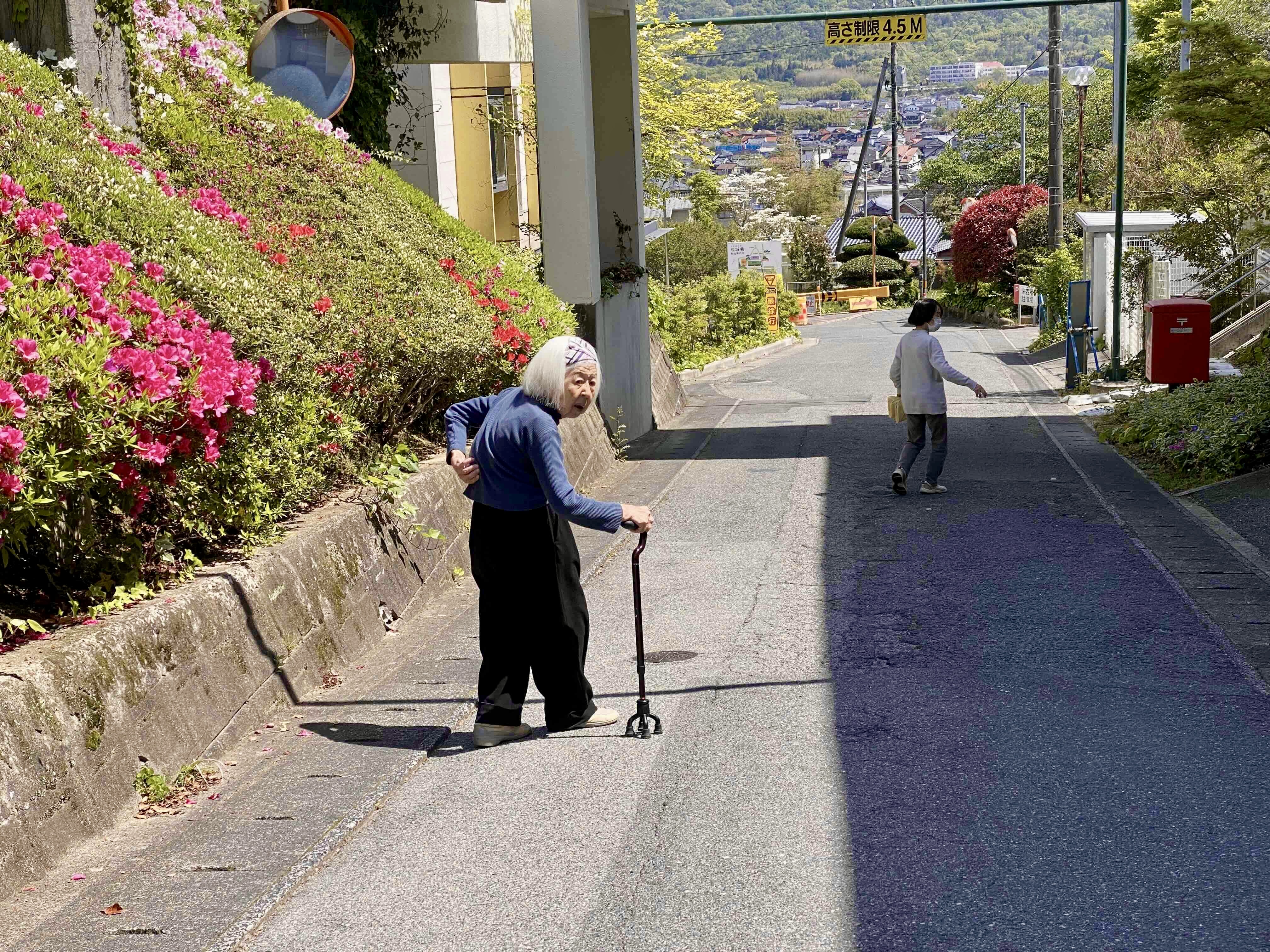 エントリ画像