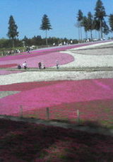 羊山公園2