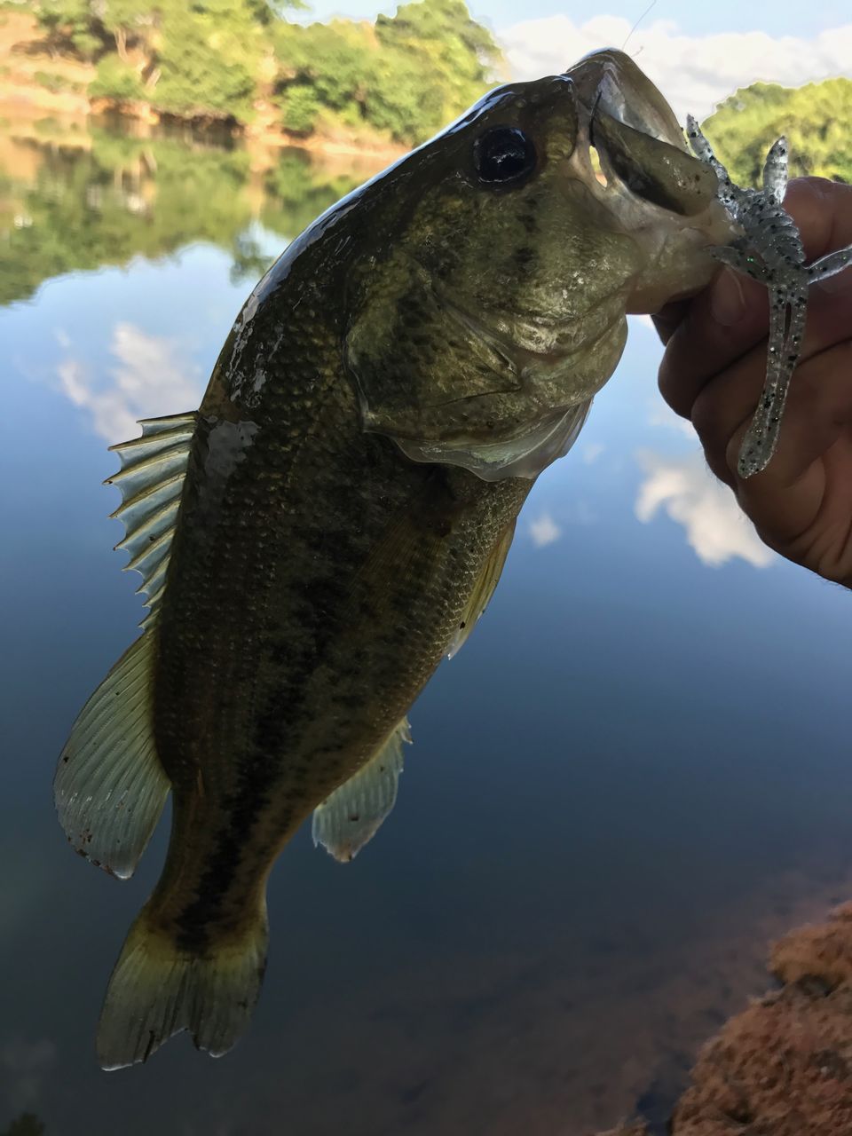 100均ジグ改造 やっさん 福岡気ままに釣り日記