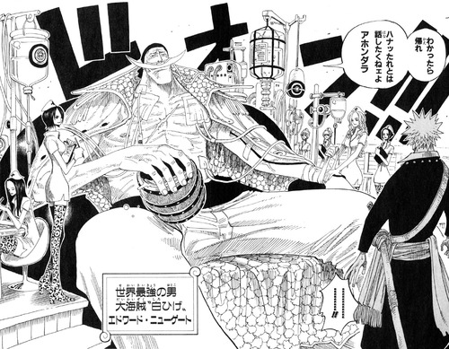 悲報 ワンピースの白ひげ 頂上戦争前に既に死にかけだった 悲報 ワンピースの白ひげ 頂上戦争前に既に死にかけだった