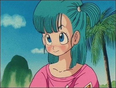 ドラゴンボールとかいうまともなヒロイン誰も出てこない漫画vv Vv ドラゴンボールとかいうまともなヒロイン誰も出てこない漫画vv Vv