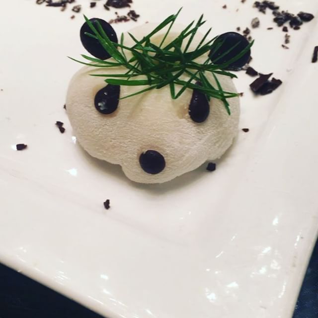 14350896_193563597735692_8752971945693151232_n