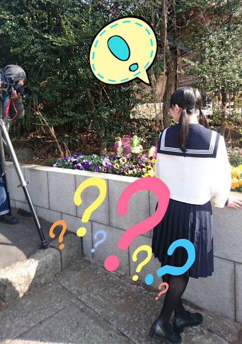 o0949134913890785314