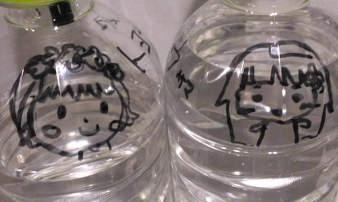 kanae_ito-130306_a02