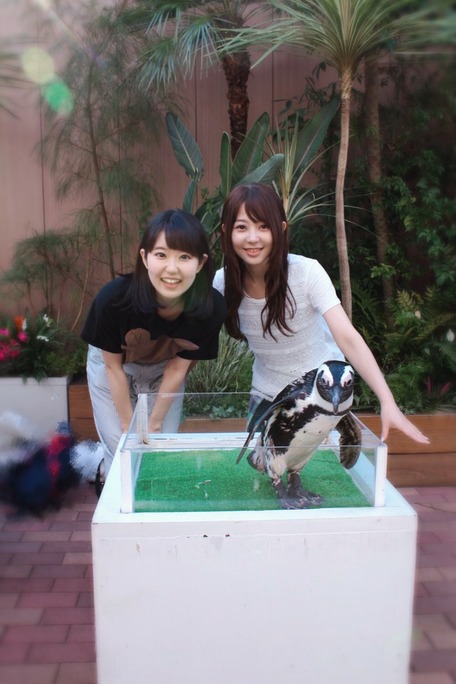 東山奈央_種田梨沙_200425_01