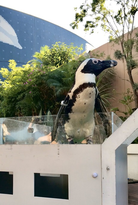 東山奈央_種田梨沙_200425_02