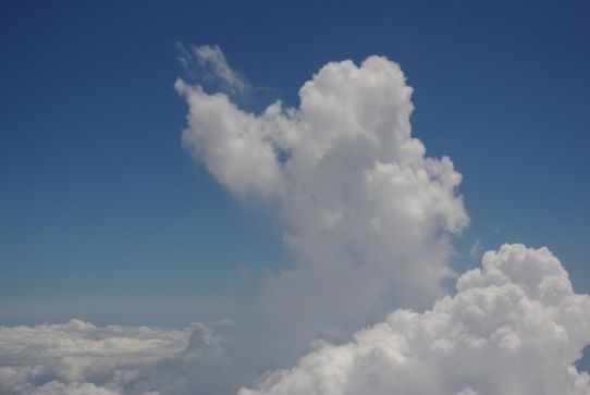 晴天の島は空も海も美しく 夏エビネの咲く種子島 Dna サガンティーノの小さな旅のブログ 晴天の島は空も海も美しく 夏エビネの咲く種子島 Dna サガンティーノの小さな旅のブログ