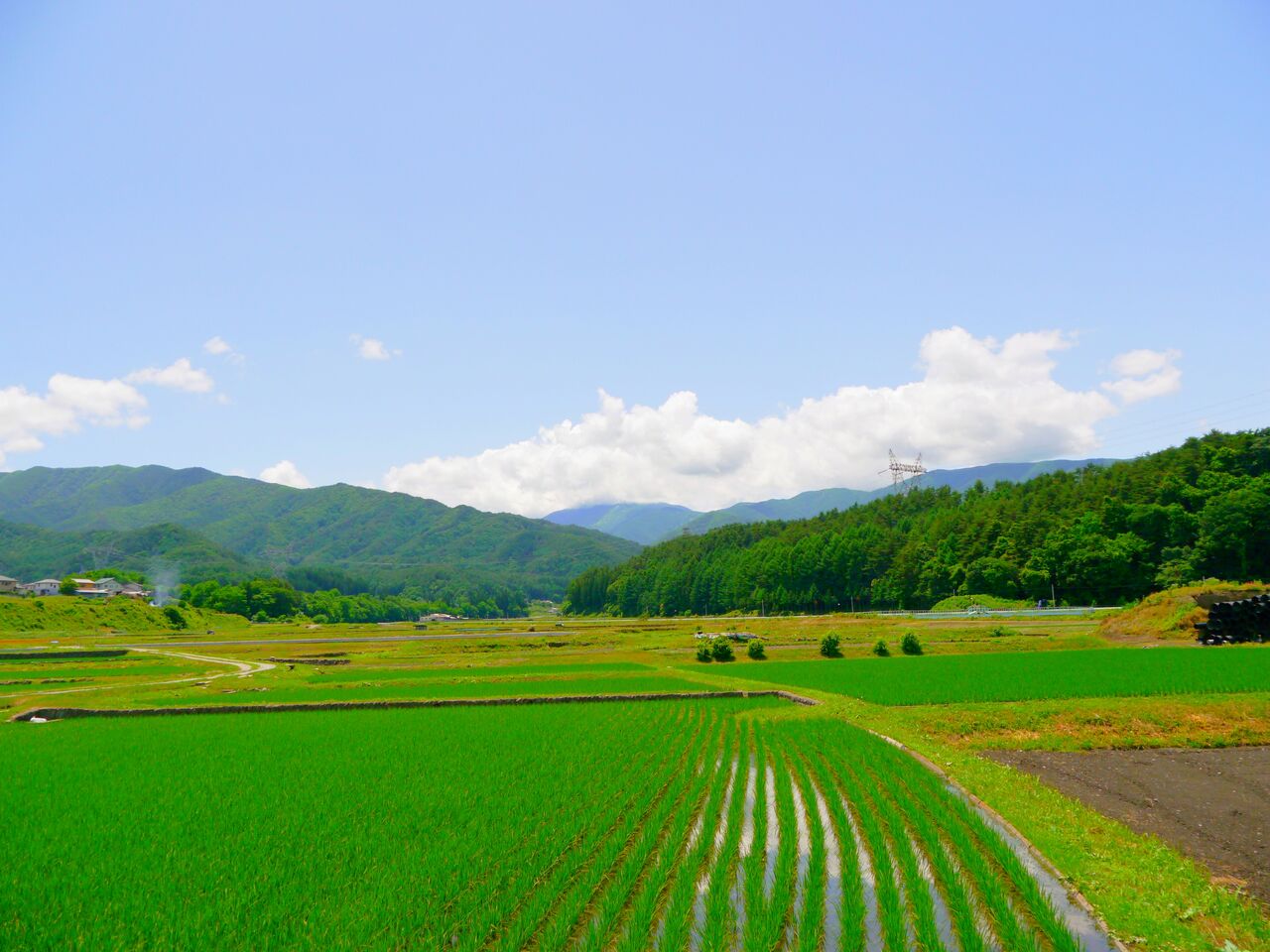 新卒で田舎で就職するために車を買うときに気を付けること 生存 のblog 新卒で田舎で就職するために車を買うときに気を付けること 生存 のblog