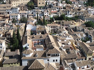 20090804_099