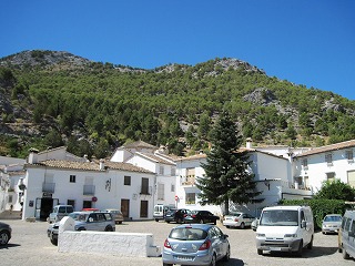 20090731_020