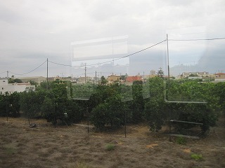 20090808_014