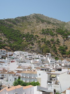 20090727_069