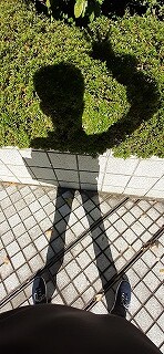 s-20211029_124101