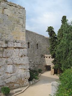 20090809_022