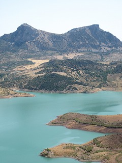 20090730_020