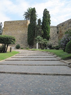 20090809_011