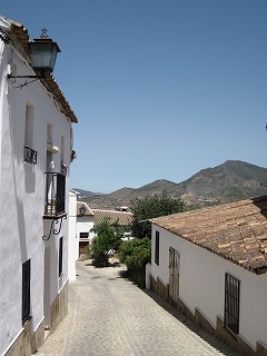 20090730_040