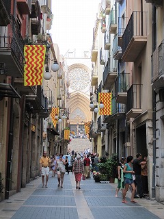 20090808_044