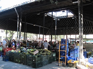 20090811_007