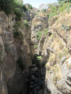 20090801_059