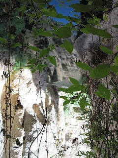 20090801_092
