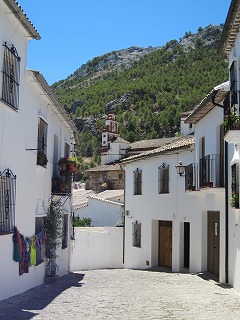 20090731_082