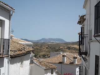 20090730_035