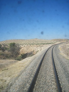 20090806_005