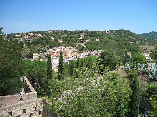 20090810_043