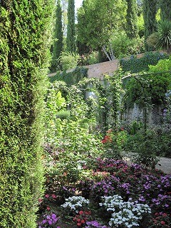 20090804_134